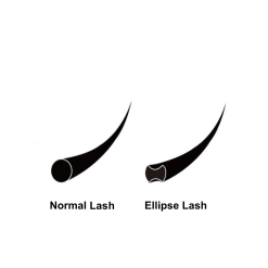 Neicha Ellipse Lashes